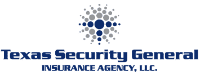 Texas Security Logo